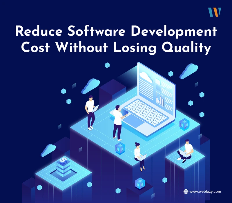 Infographic design of software development & cost reduction